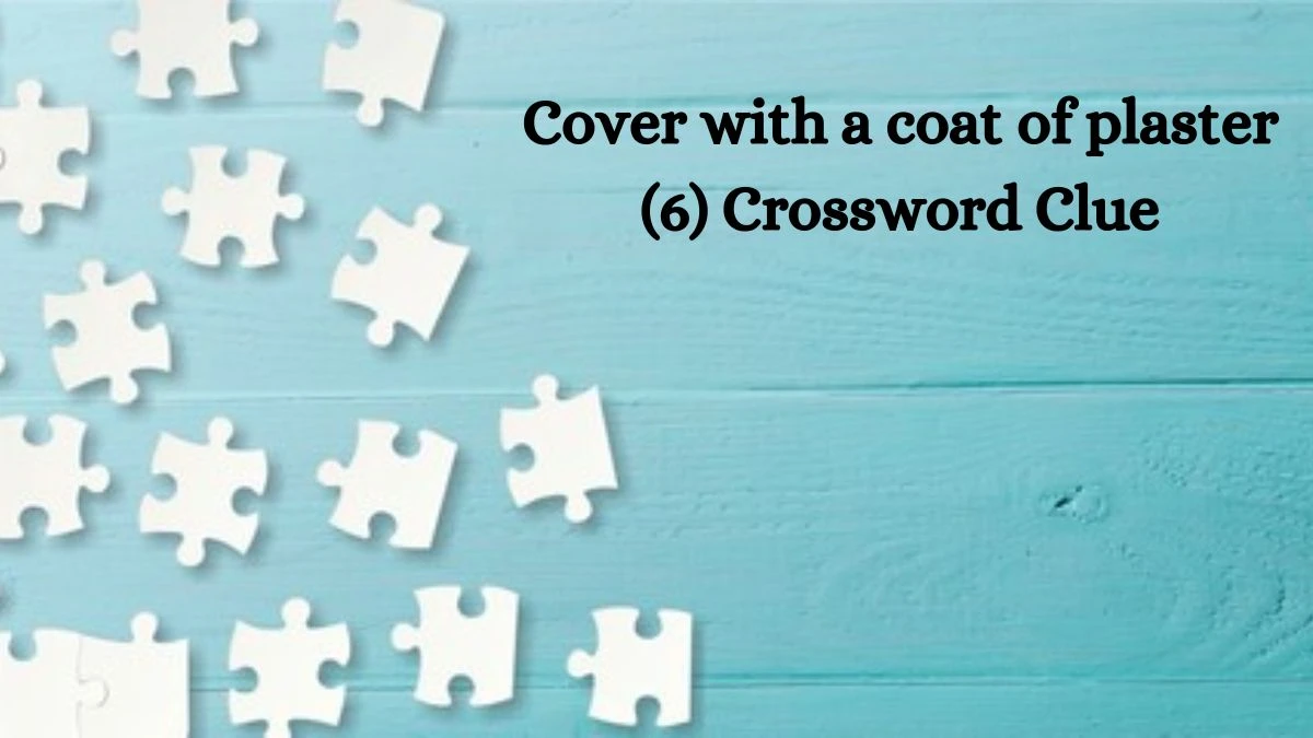 Cover with a coat of plaster (6) Crossword Clue