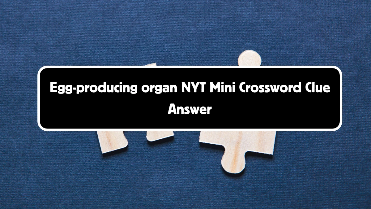 Egg-producing organ NYT Crossword Clue