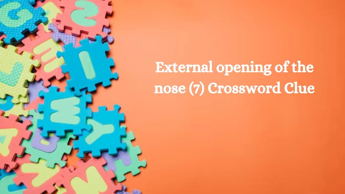 External opening of the nose (7) Crossword Clue 7 Letters