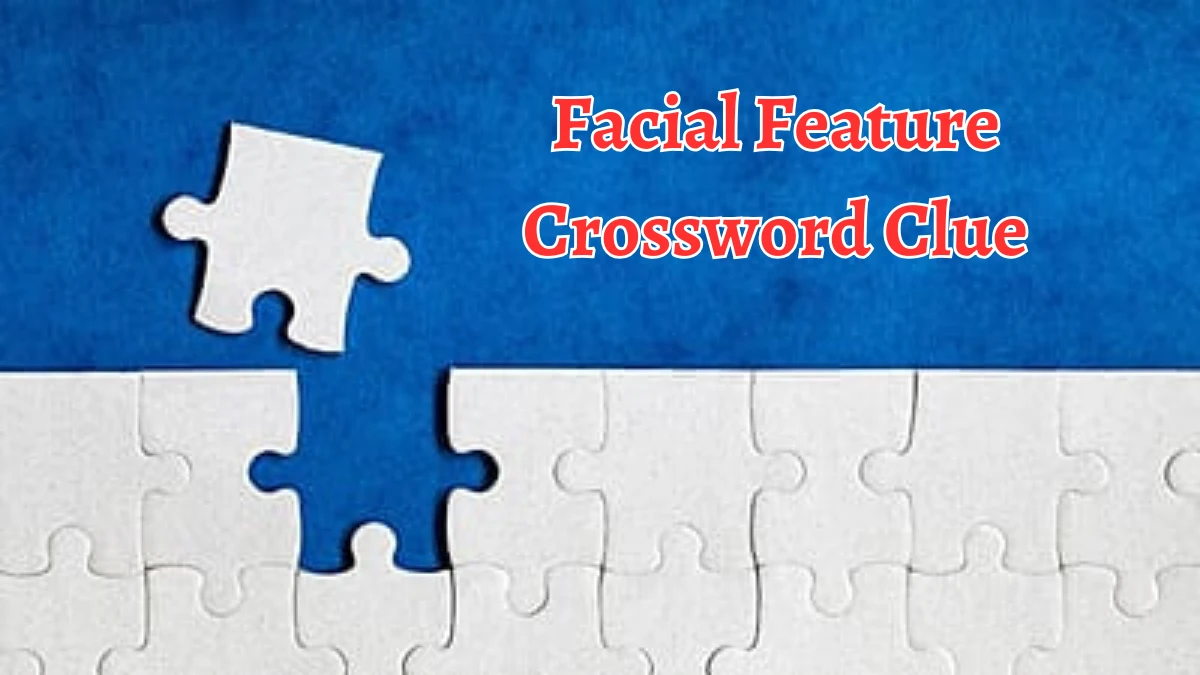 Facial Feature Crossword Clue