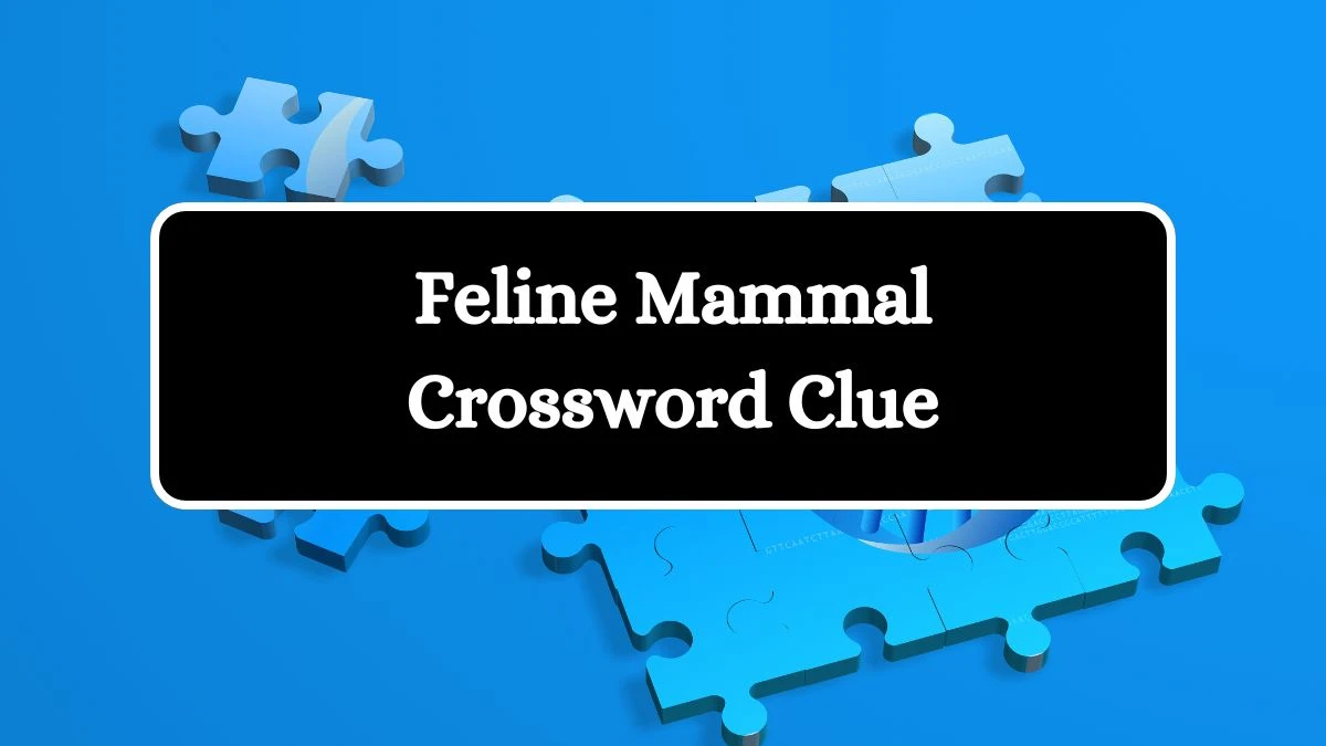 Feline Mammal Crossword Clue 3 Letters