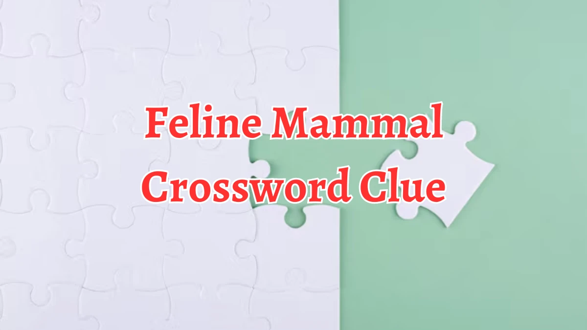 Feline Mammal Crossword Clue