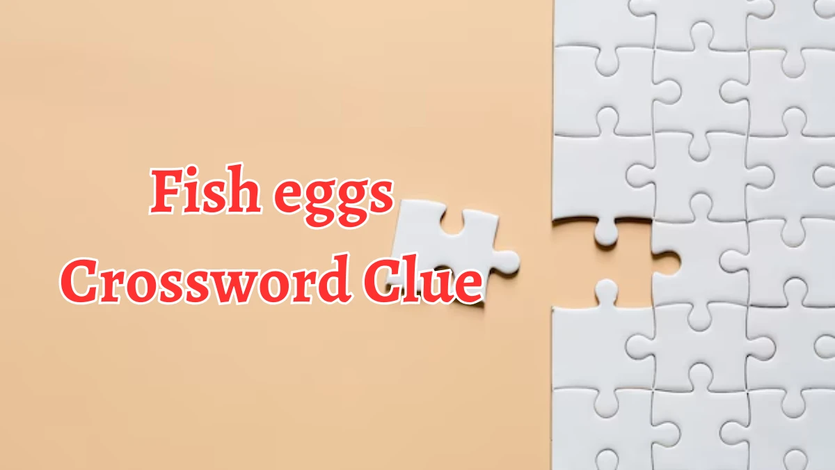 Fish eggs Crossword Clue 3 Letters