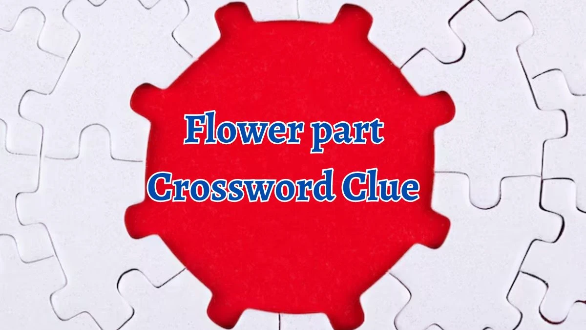 Flower part Crossword Clue 5 Letters