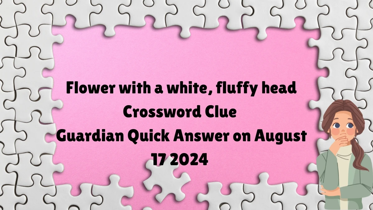 ​Flower with a white, fluffy head Crossword Clue