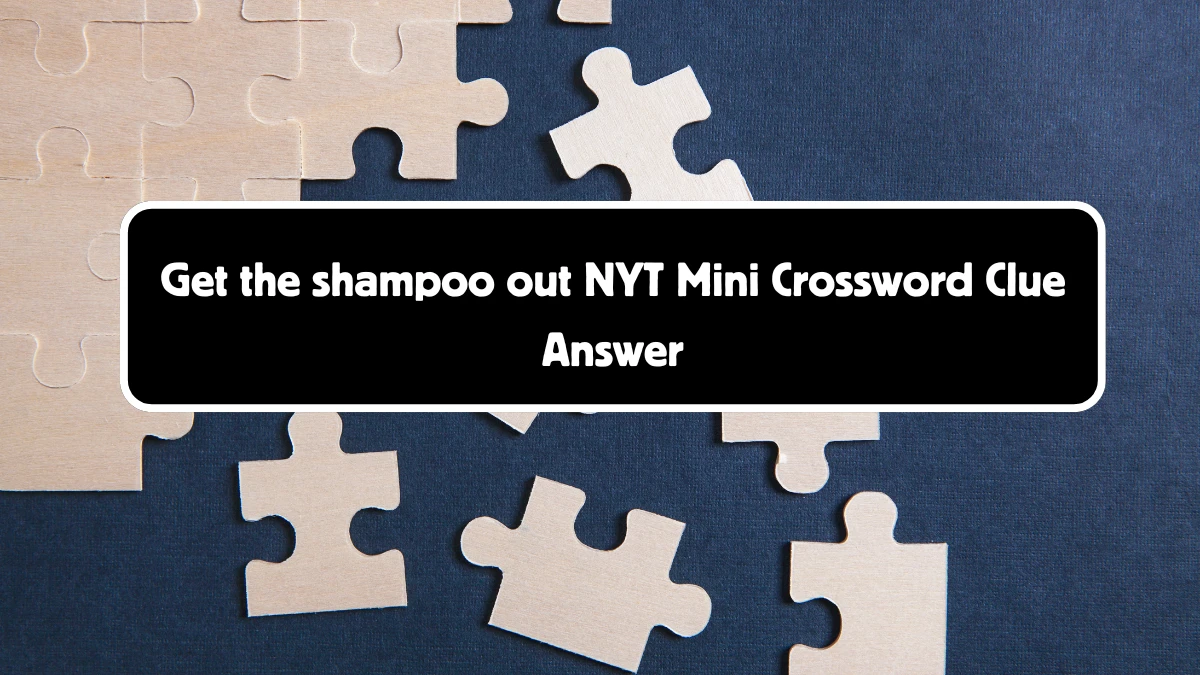 Get the shampoo out NYT Crossword Clue