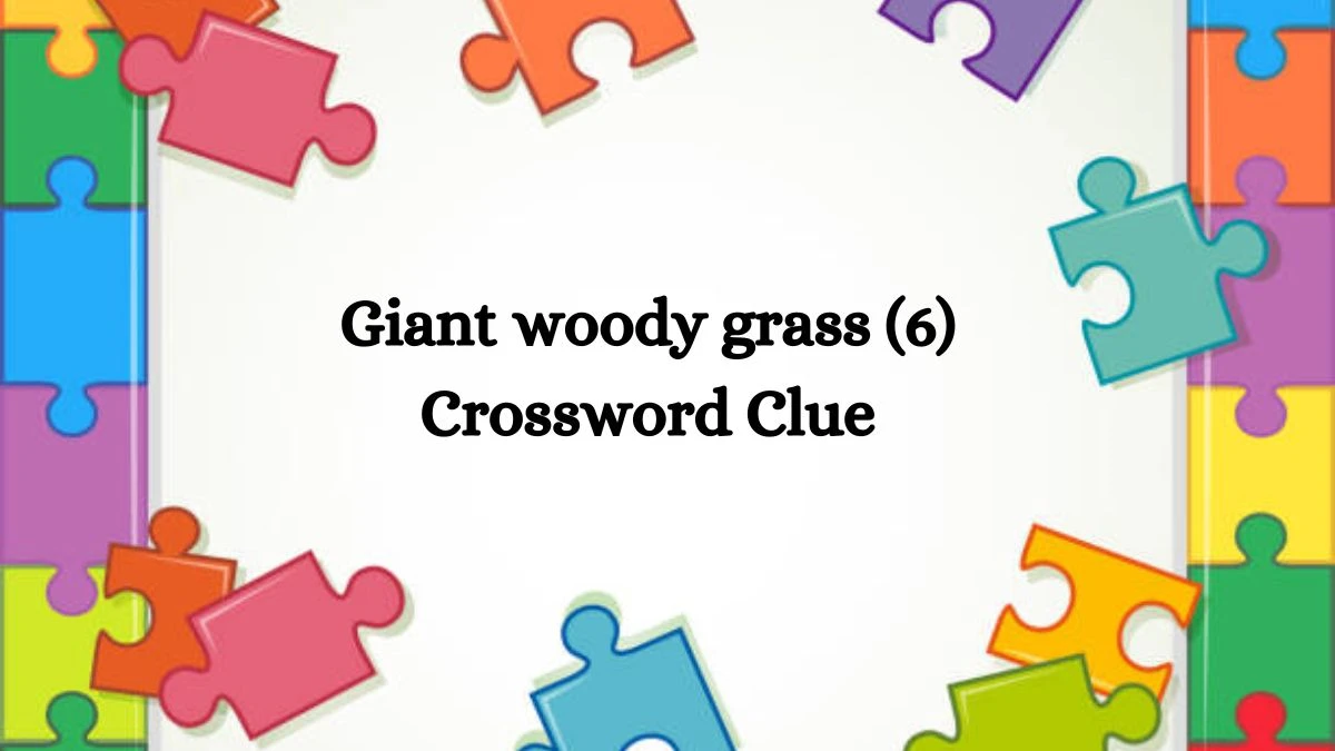 Giant woody grass (6) Crossword Clue