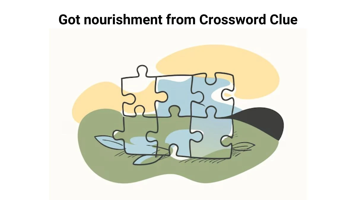 Got nourishment from Crossword Clue