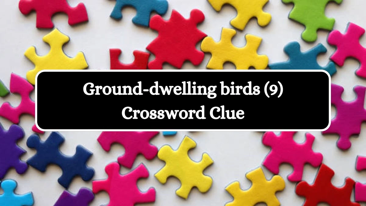 Ground-dwelling birds (9) Crossword Clue