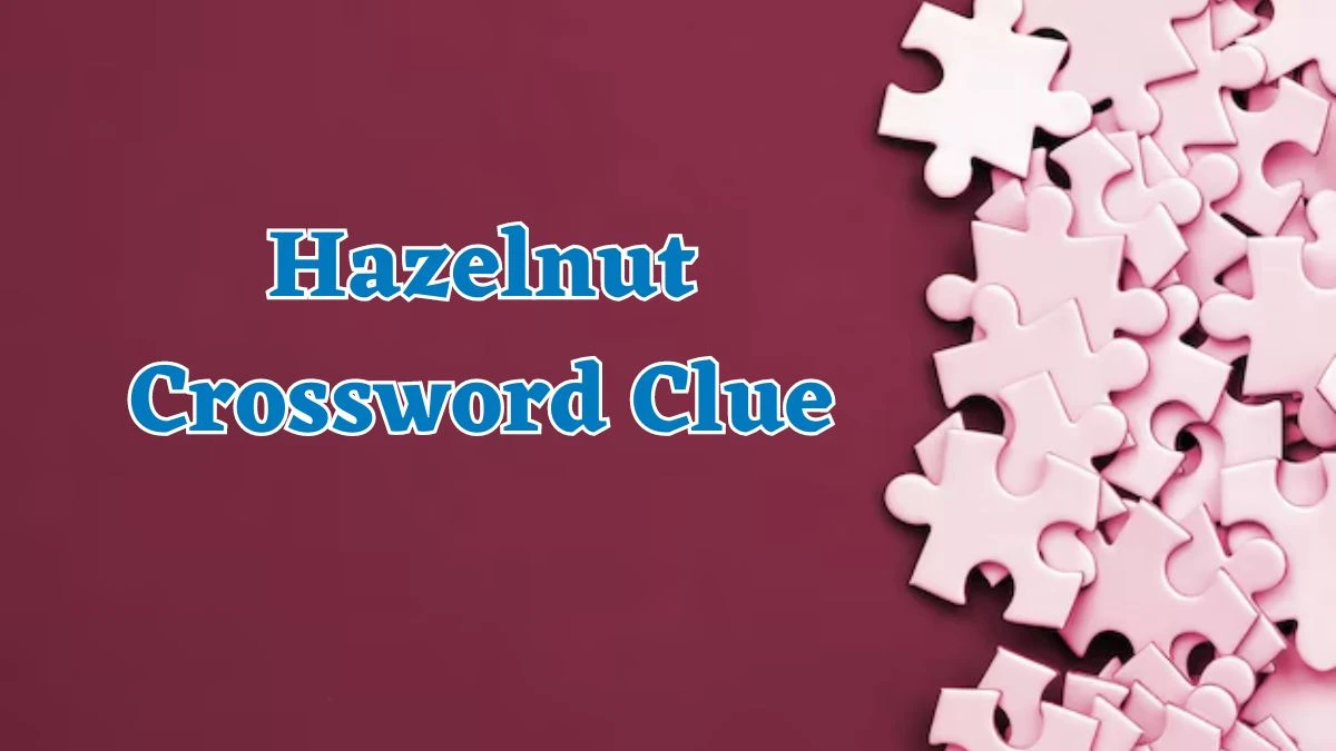 Hazelnut Crossword Clue 7