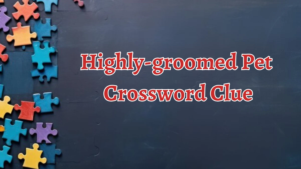 Highly-groomed Pet Crossword Clue 6 Letters