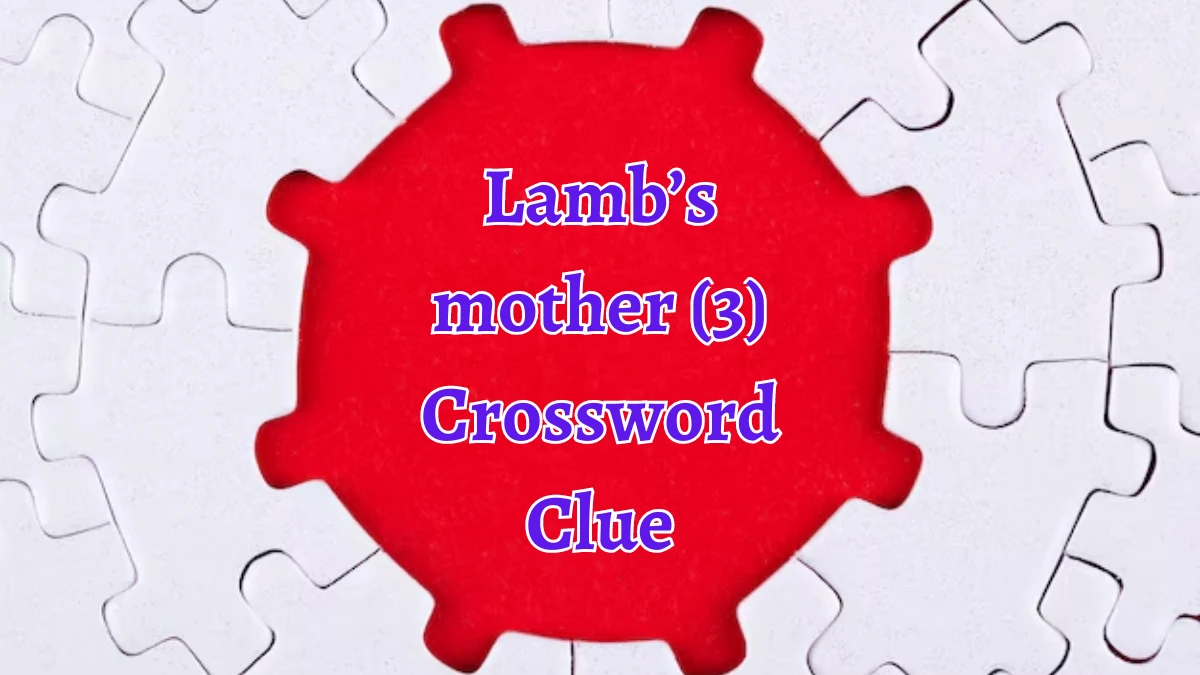 Lamb’s mother (3) Crossword Clue