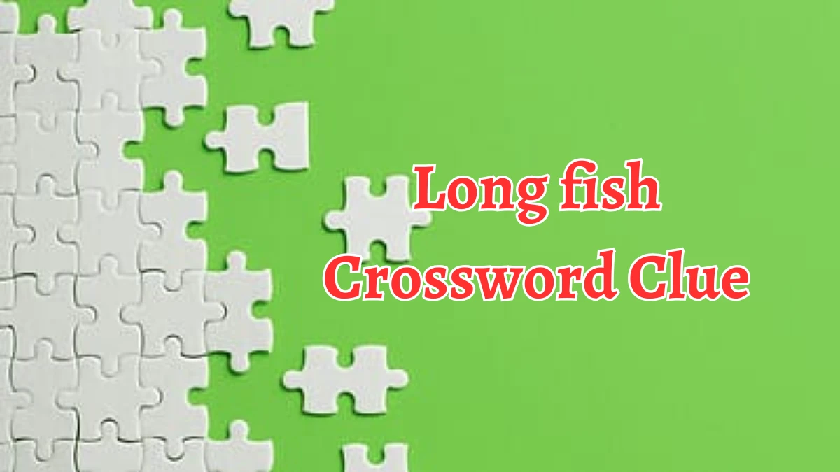 Long fish Crossword Clue 3 Letters