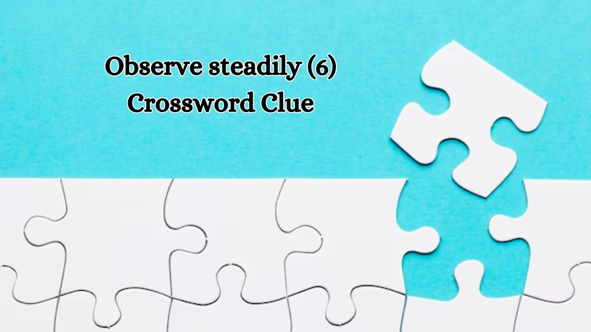 Observe steadily (6) Crossword Clue 6 Letters