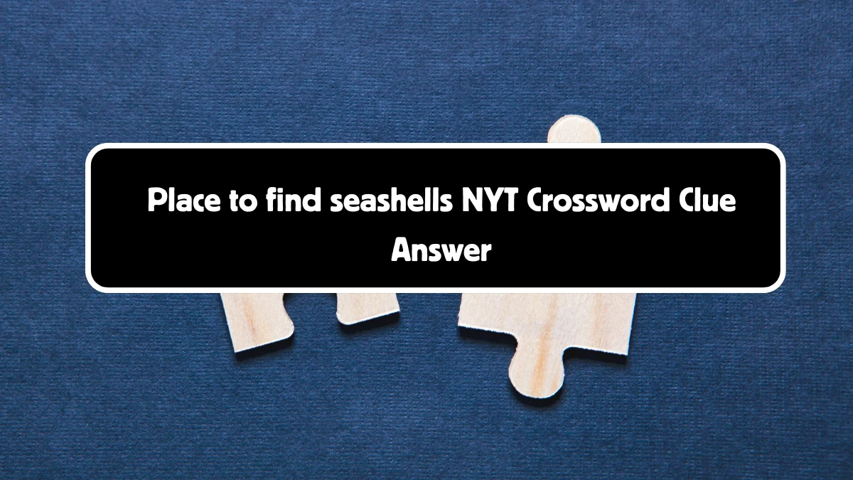 Place to find seashells NYT Crossword Clue