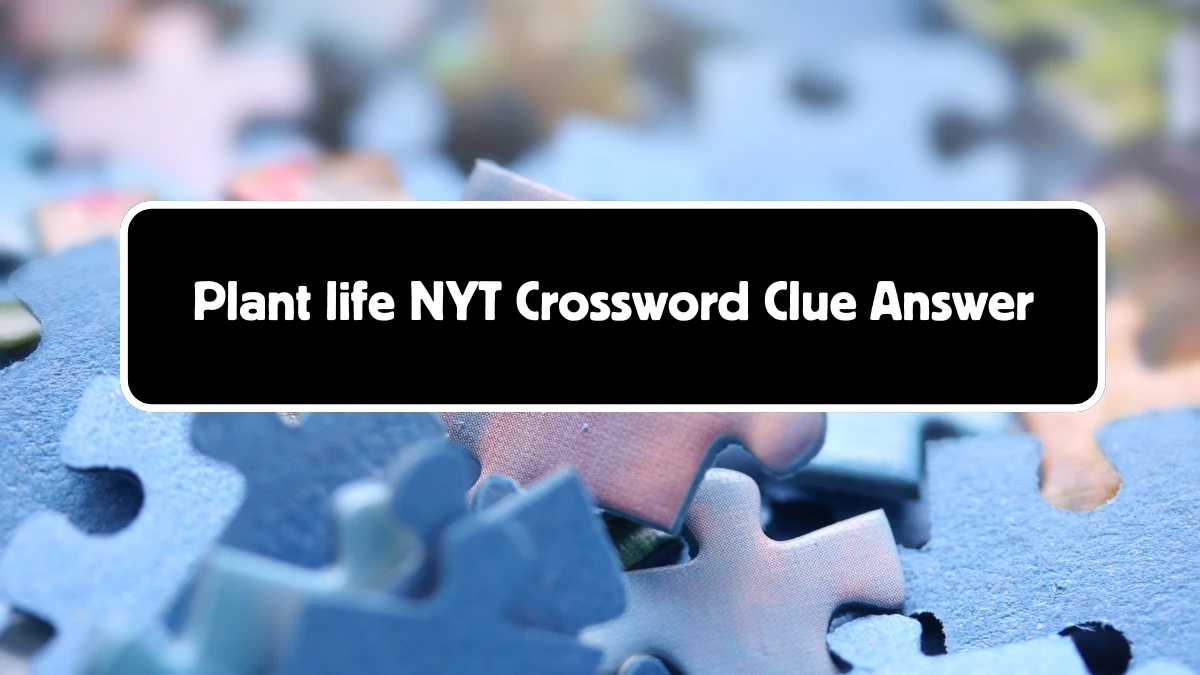 Plant life NYT Crossword Clue