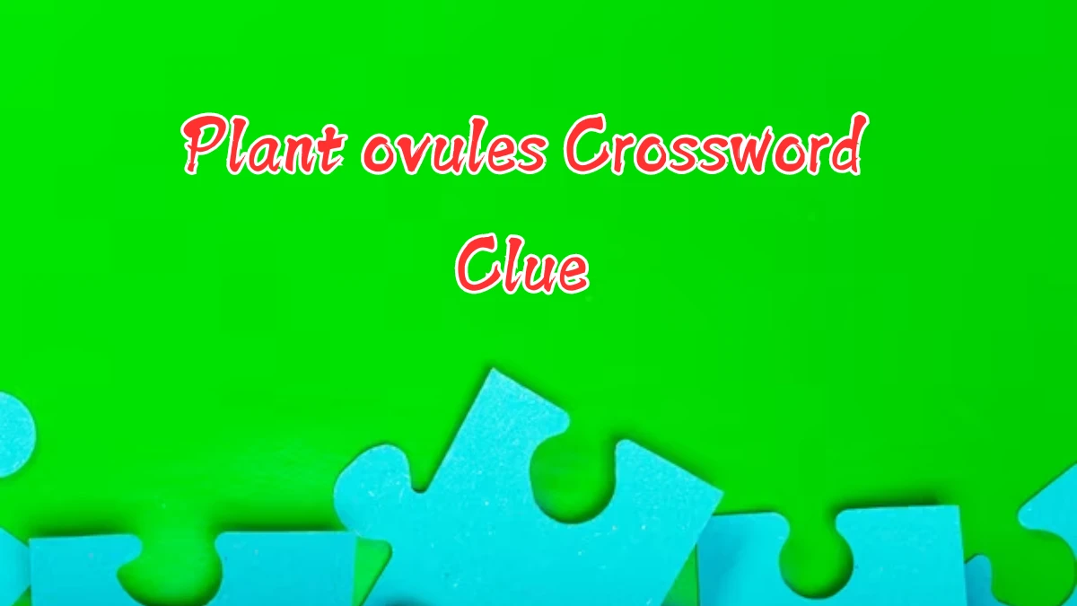 Plant ovules Crossword Clue 5 Letters