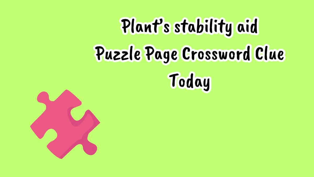 Plant’s stability aid Crossword Clue Puzzle Page