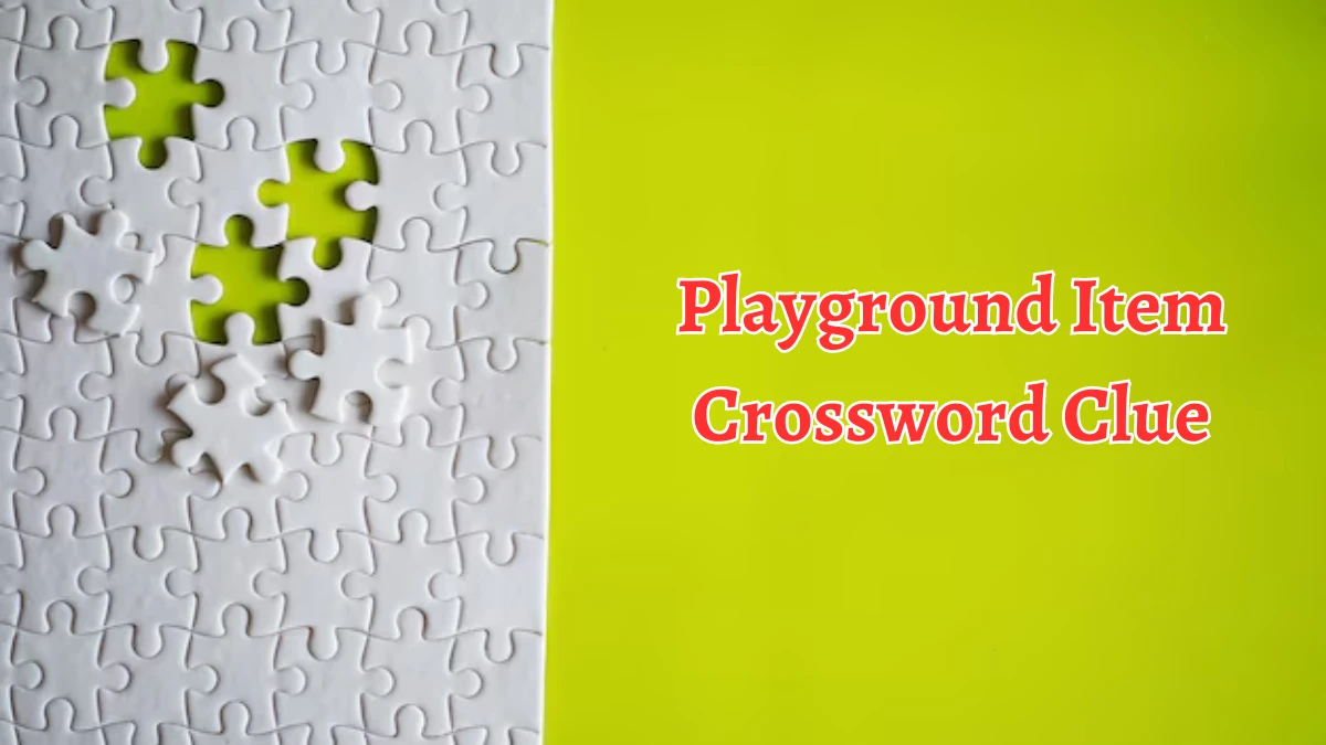 Playground Item Crossword Clue