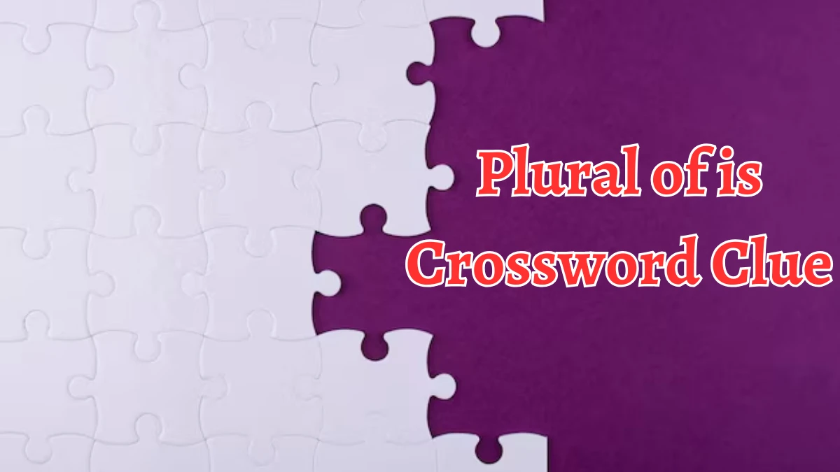 Plural of is Crossword Clue 3 Letters