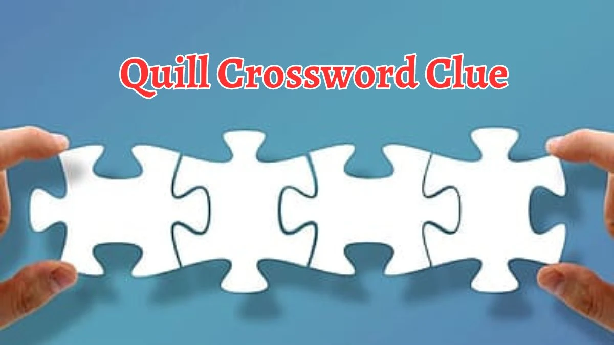 Quill Crossword Clue