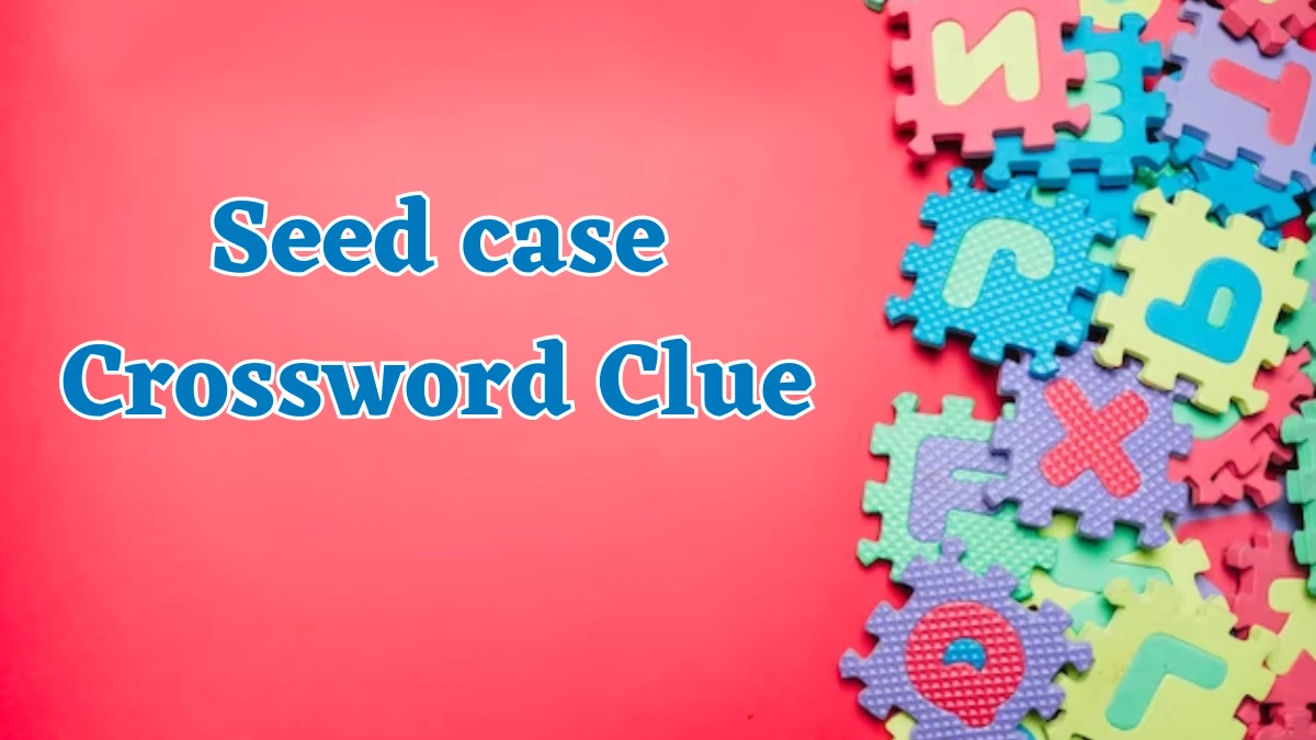 Seed case Crossword Clue 3 Letters