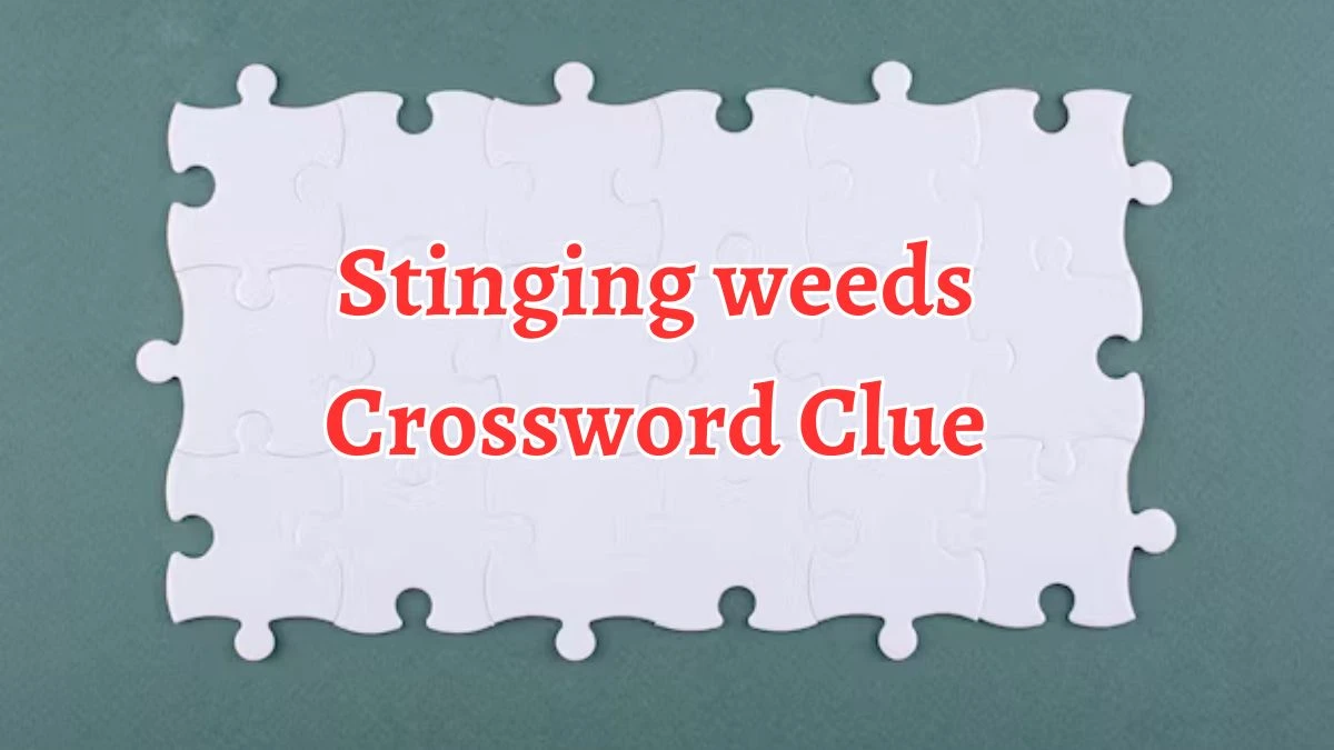 Stinging weeds Crossword Clue 7 Letters