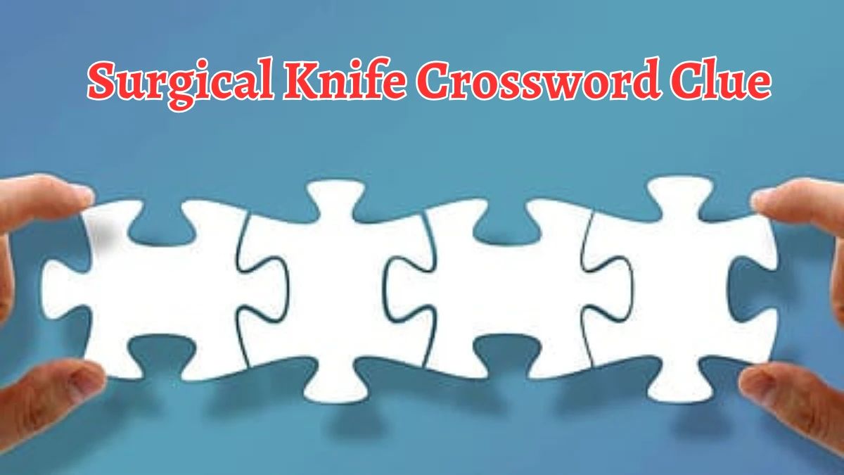 Surgical Knife Crossword Clue 6 Letters