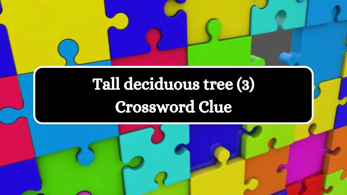 Tall deciduous tree (3) Crossword Clue