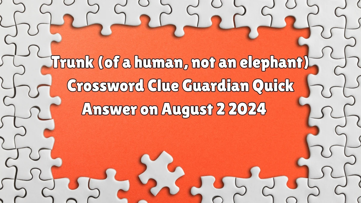 Guardian Quick ​Trunk (of a human, not an elephant) Crossword Clue 5 Letters Answer