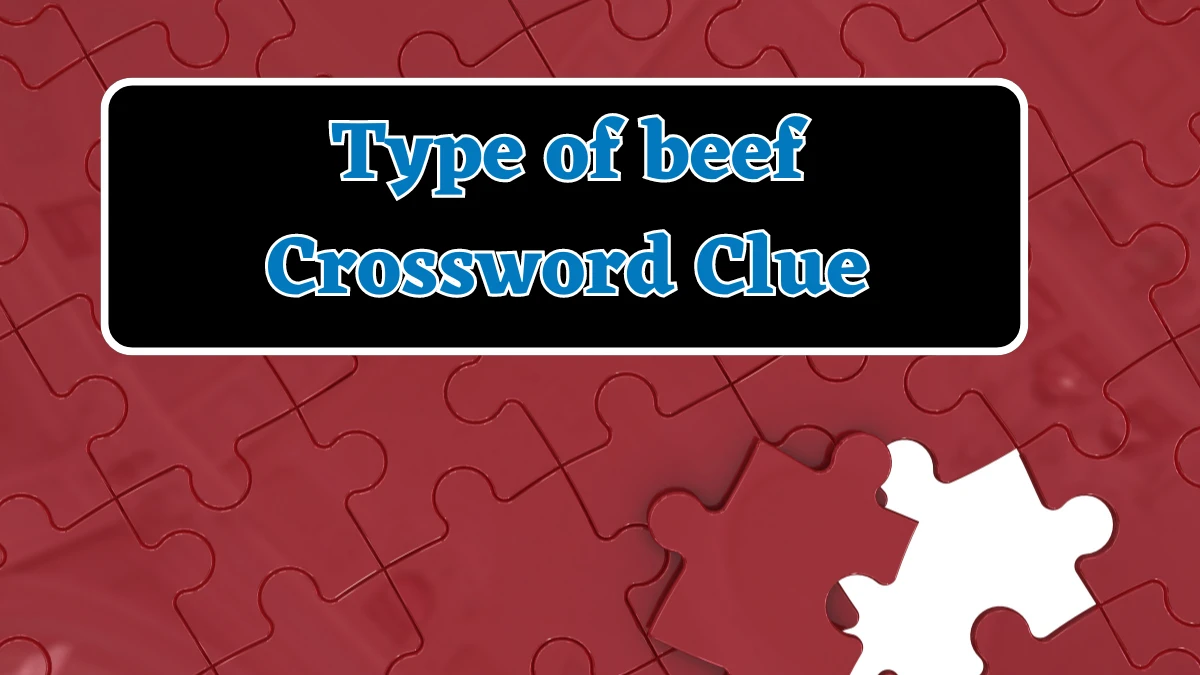 Type of beef Crossword Clue