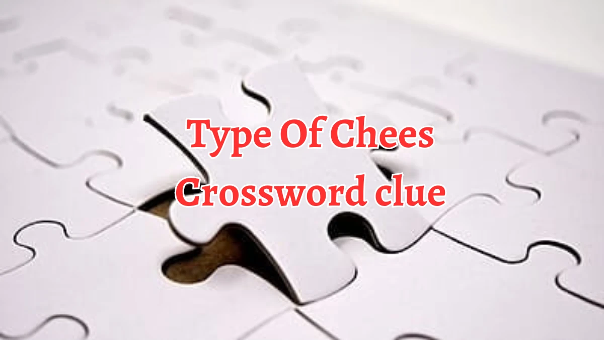 Type Of Chees Crossword Clue 4 Letters