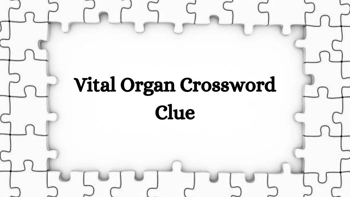 Vital Organ Crossword Clue