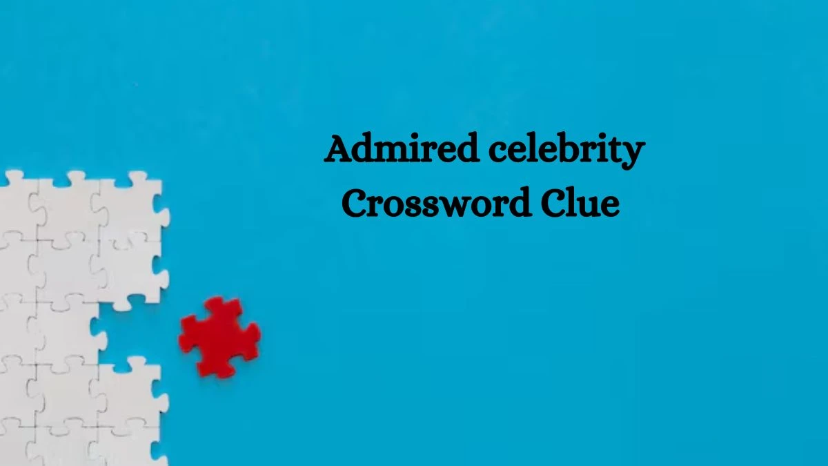 Admired celebrity Crossword Clue