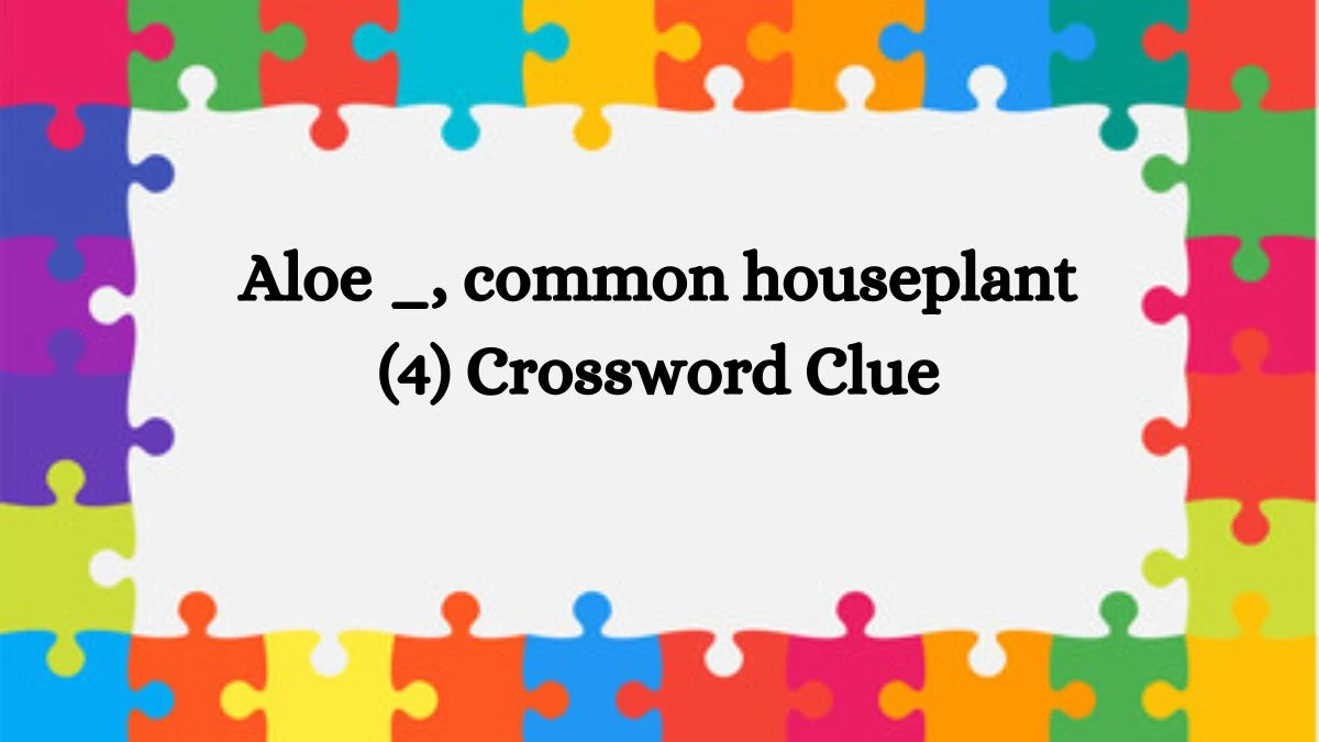 Aloe _, common houseplant (4) Crossword Clue