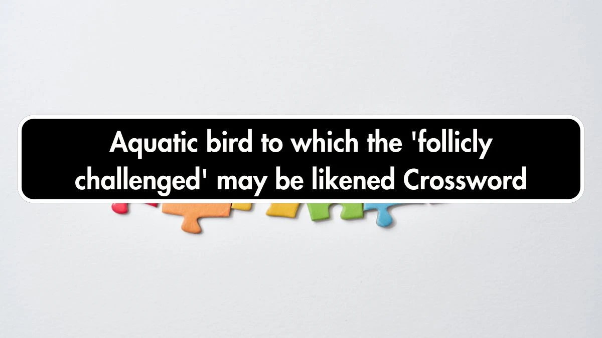 Aquatic bird to which the 'follicly challenged' may be likened Crossword Clue