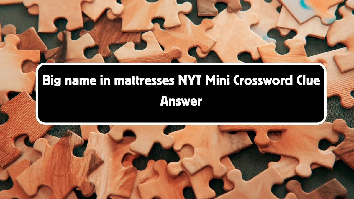 Big name in mattresses NYT Crossword Clue