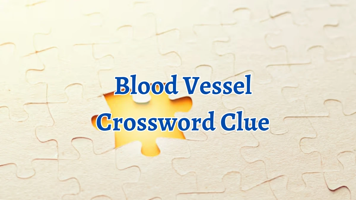 Blood Vessel Crossword Clue 4 Letters