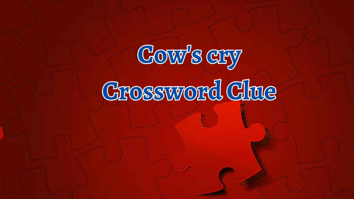 Cow's cry Crossword Clue