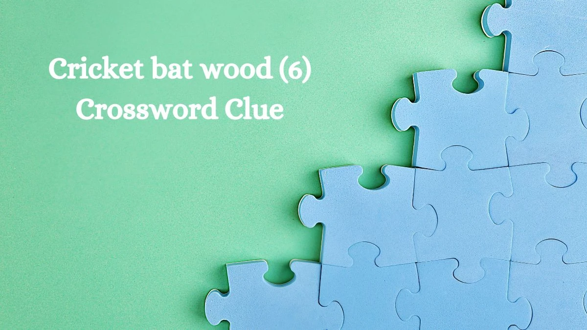 Cricket bat wood (6) Crossword Clue