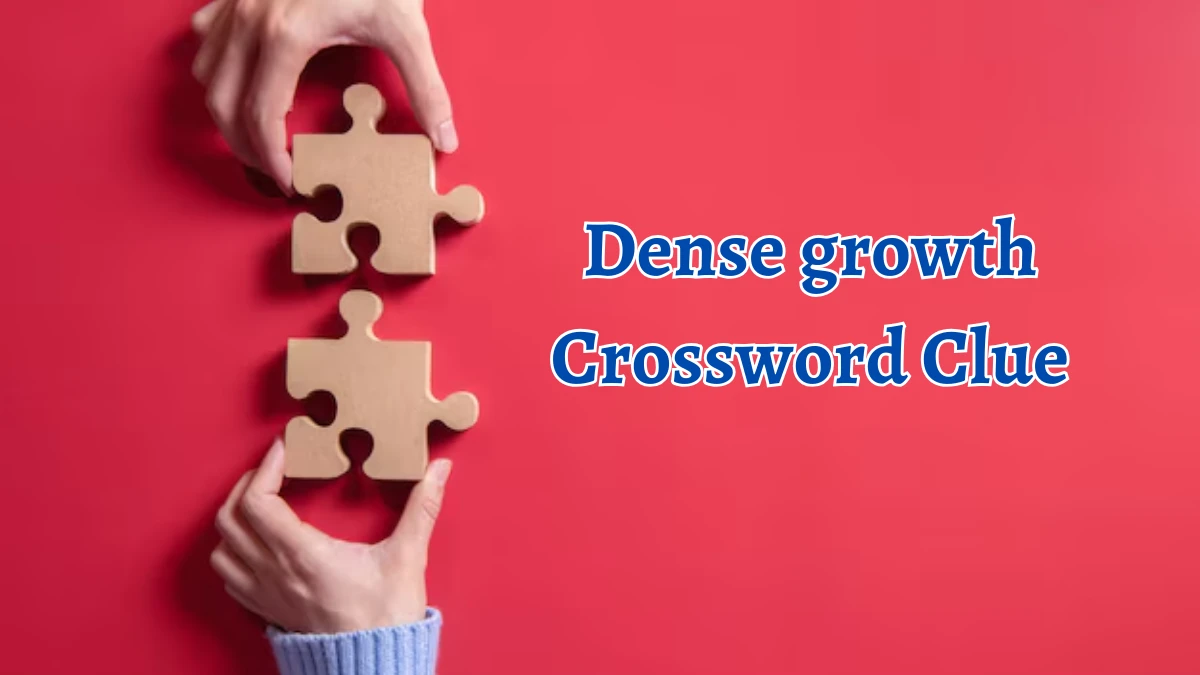 Dense growth Crossword Clue 4 Letters