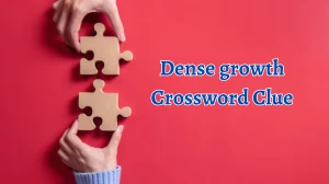 Dense growth Crossword Clue 4 Letters