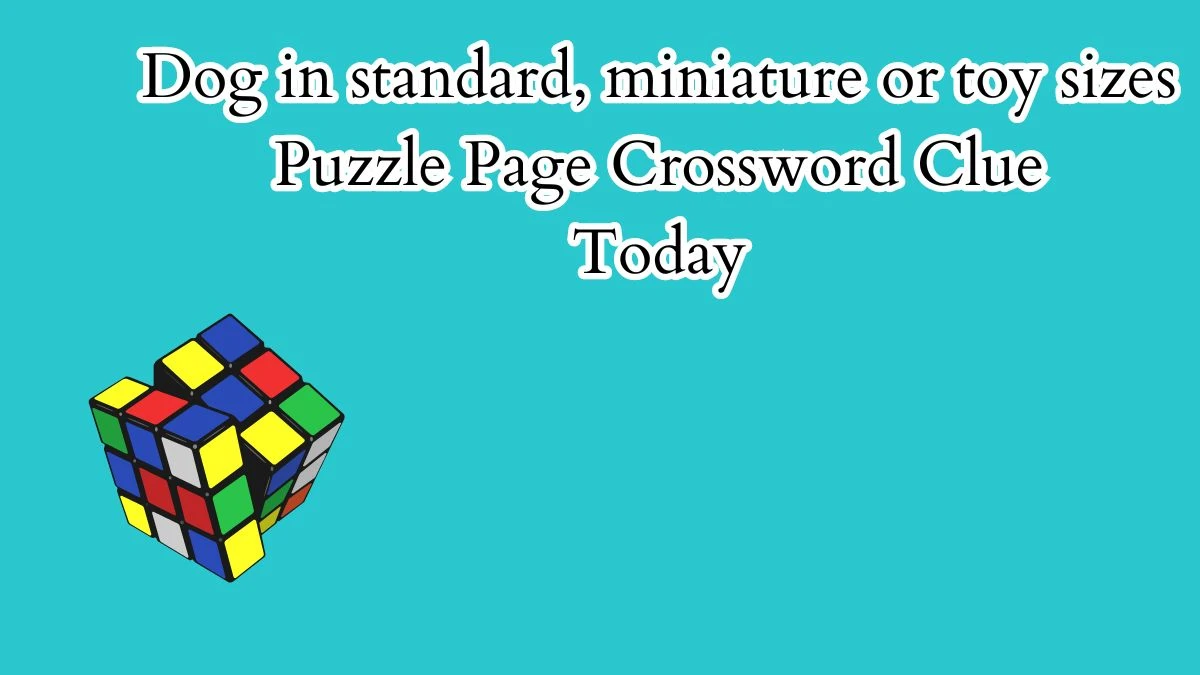 Dog in standard, miniature or toy sizes Crossword Clue Puzzle Page