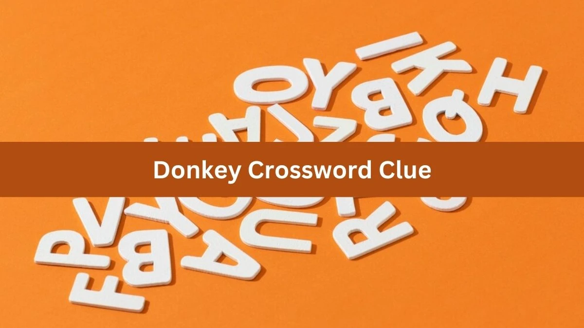 Donkey Crossword Clue