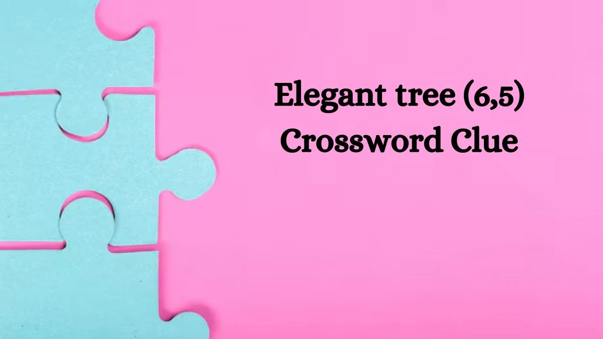 Elegant tree (6,5) Crossword Clue