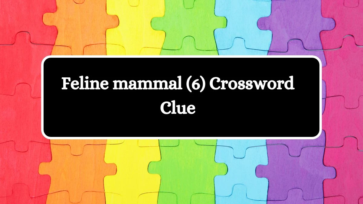 Feline mammal (6) Crossword Clue