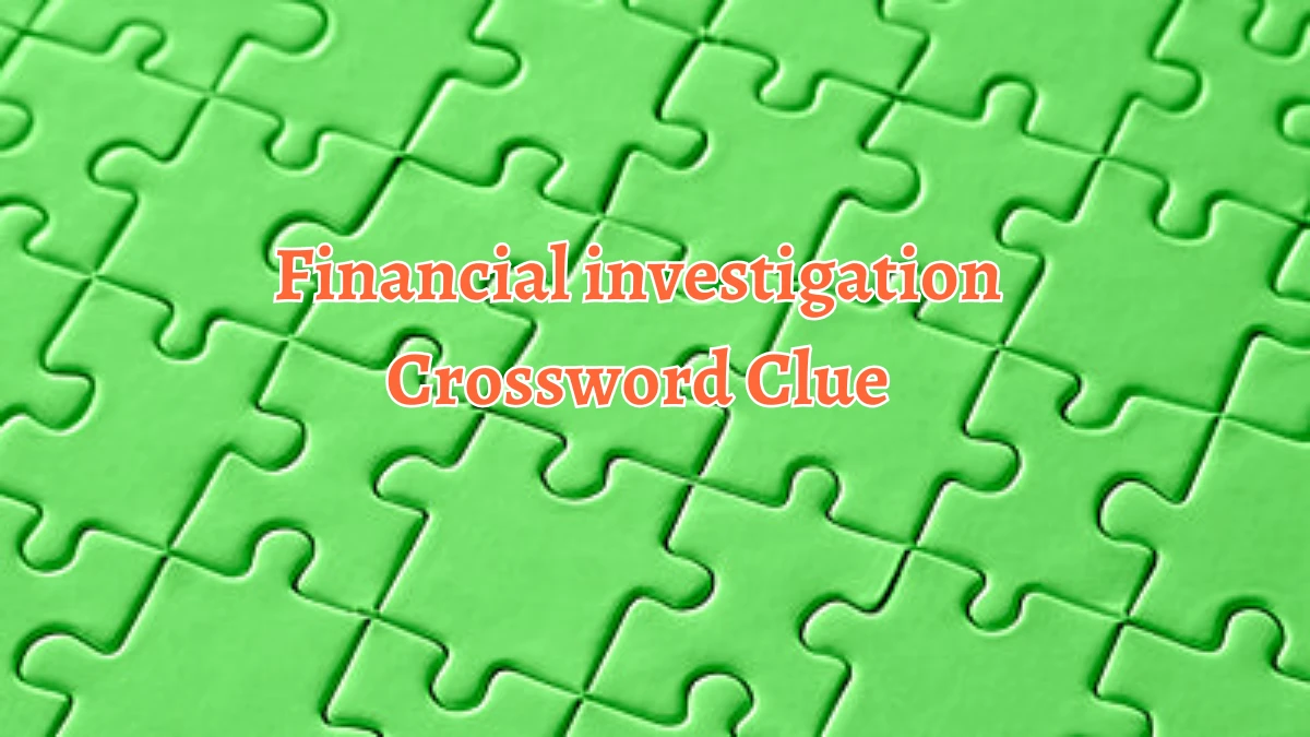 Financial investigation Crossword Clue