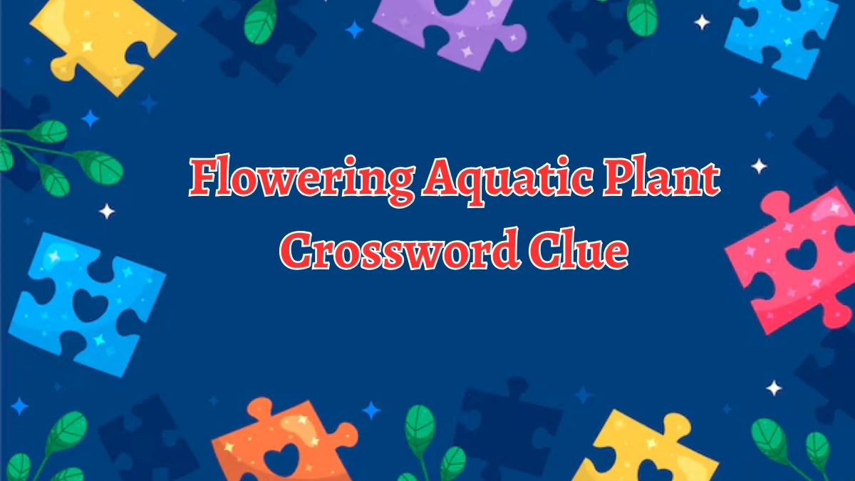 Flowering Aquatic Plant Crossword Clue