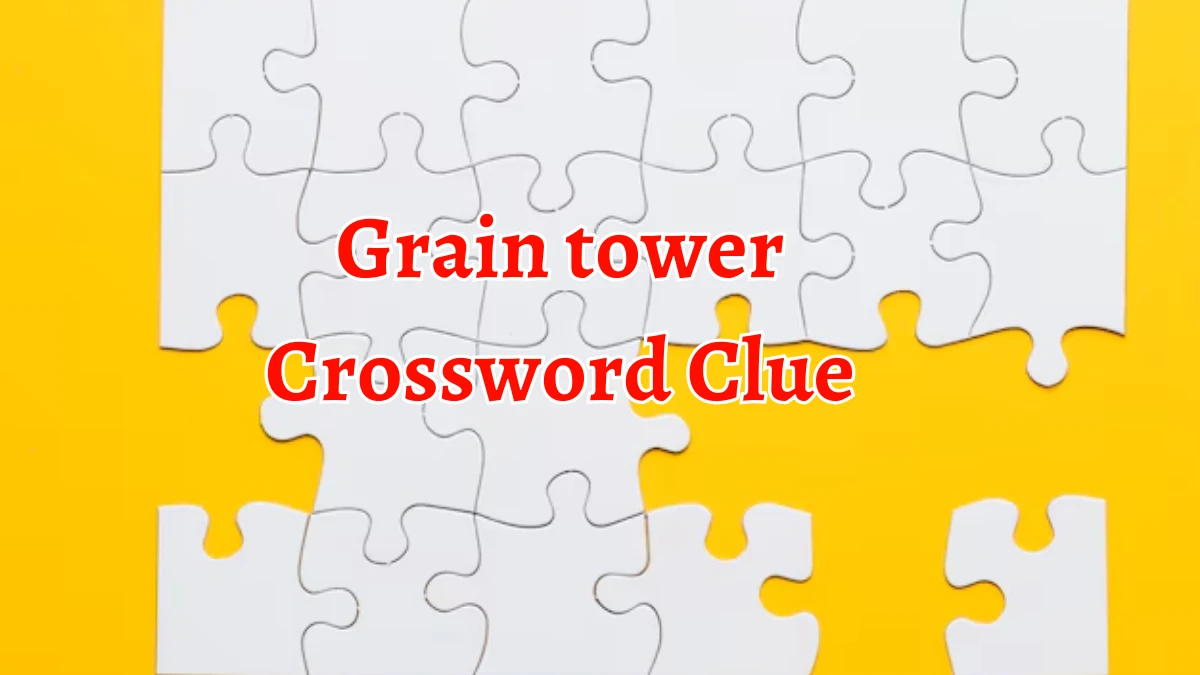 Grain tower Crossword Clue 4 Letters