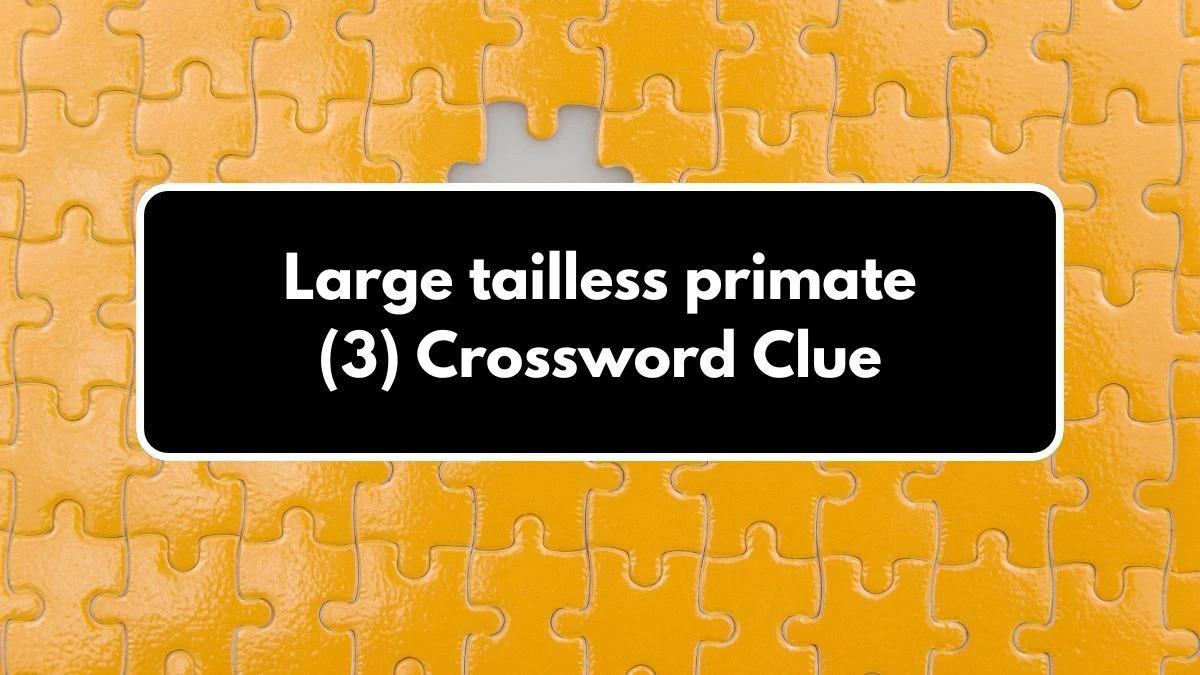 Large tailless primate (3) Crossword Clue 3 Letters